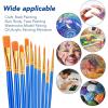 imageESRICH Paint Brushes Set20 Packs 200 Pcs Acrylic Paint Brush SetAcrylic Oil Watercolor Face Nail Art Miniature DetailingRock PaintingPainting Artist Professional KitsGreenBlue