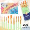 imageESRICH Paint Brushes Set20 Packs 200 Pcs Acrylic Paint Brush SetAcrylic Oil Watercolor Face Nail Art Miniature DetailingRock PaintingPainting Artist Professional KitsGreenGreen