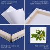 imageESRICH Small Stretched Canvas for Painting 6x6 inch 25Profile Art Primed 8 Pack Canvases for Painting Cotton Small Professional Blank Paint Canvas for Kids and Art Supplies for Acrylics Oils12 Packs Stretched Canvas  44in