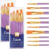 imageESRICH Paint Brushes Set20 Packs 200 Pcs Acrylic Paint Brush SetAcrylic Oil Watercolor Face Nail Art Miniature DetailingRock PaintingPainting Artist Professional KitsGreenPurple