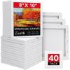 imageESRICH Stretched Canvas for Painting 24x36 Inch 3Pack Large Canvas for Painting Primed AcidFree Cotton Blank Canvases Art Paint Canvases for Oil PaintWatercolorAcrylic PaintGouache and Tempera40 Packs1Sizes 810in