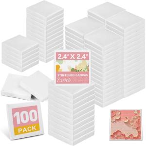 imageESRICH Small Stretched Canvas for Painting 6x6 inch 25Profile Art Primed 16 Pack Canvases for Painting Cotton Small Professional Blank Paint Canvas for Kids and Art Supplies for Acrylics Oils24x24in100 Packs