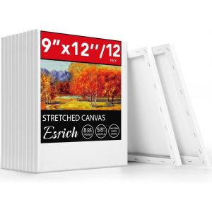 imageESRICH Stretched Canvas for Painting 24x36 Inch 3Pack Large Canvas for Painting Primed AcidFree Cotton Blank Canvases Art Paint Canvases for Oil PaintWatercolorAcrylic PaintGouache and Tempera12 Packs1Size 912in
