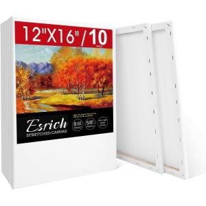 imageESRICH Stretched Canvas for Painting 24x36 Inch 3Pack Large Canvas for Painting Primed AcidFree Cotton Blank Canvases Art Paint Canvases for Oil PaintWatercolorAcrylic PaintGouache and Tempera10 Packs1Sizes 1216in