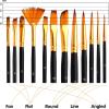 imageESRICH Acrylic Paint Set 12 Colors2 Packwith 20 Paint Brushes24 Acrylic Paints for AdultsKidsBeginnerProfessional ArtistsNonToxic Craft Paint kit for PaperCanvasRockWoodCeramic64pcs 36colors painting kit
