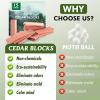 imageESRICH Cedar Blocks for Clothes Storage15 Pack with Metal Hooks100 Natura Cedars Wood for ClosetsCedars Planks with SandpaperCedar Chips for Closets and Drawers014 Ounce Pack of 15