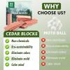 imageESRICH Cedar Blocks for Clothes Storage15 Pack with Metal Hooks100 Natura Cedars Wood for ClosetsCedars Planks with SandpaperCedar Chips for Closets and Drawers0 Ounce Pack of 32