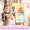 imageESRICH Stretched Canvas for Painting 12 Pack 4x4 4x6 8x10 11x143 of Each Canvas Set MultiSize Blank Canvases for Painting Primed Paint Canvas for Kids Adults Beginners Artists8x10in