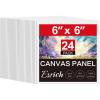 6x6in 24pack