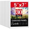 imageESRICH Canvas Boards for Painting 10 Pack Canvases for Painting 8x10 Cotton Primed Acid Free Blank Canvas Panels for Oil Paint Watercolor Acrylic Paint Gouache and Tempera5x7