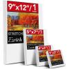 imageStretched Canvases for Painting 8PCS Multi Pack Canvas 3x5 5x7 8x10 10x122 of Each AcidFree Wood Frame Blank Canvas Art Canvas Pre Primed for Acrylic Oil Painting Tempera Paintings4PCS4sizes1 of Each