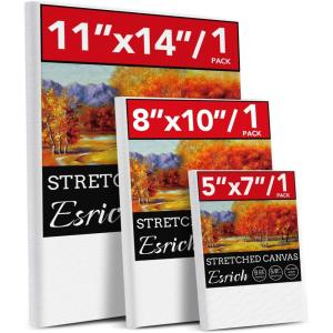 imageESRICH Canvas for Painting 8x10 16 Pack Stretched Canvas Primed AcidFree Cotton Paint Canvas Bulk White Blank Canvases for Painting for Oil ampamp Acrylic Paint3 Packs  3Sizes1 of Each