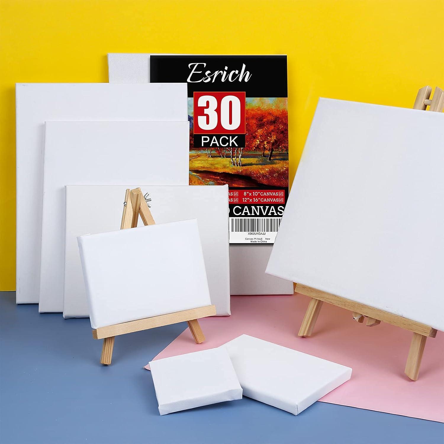 imageESRICH Stretched Canvas for Painting 16x20 Inch 12Pack Large Canvas for Painting Primed AcidFree Cotton Blank Canvases Art Paint Canvases for Oil PaintWatercolorAcrylic PaintGouache and Tempera30 Packs  6Sizes5 of Each