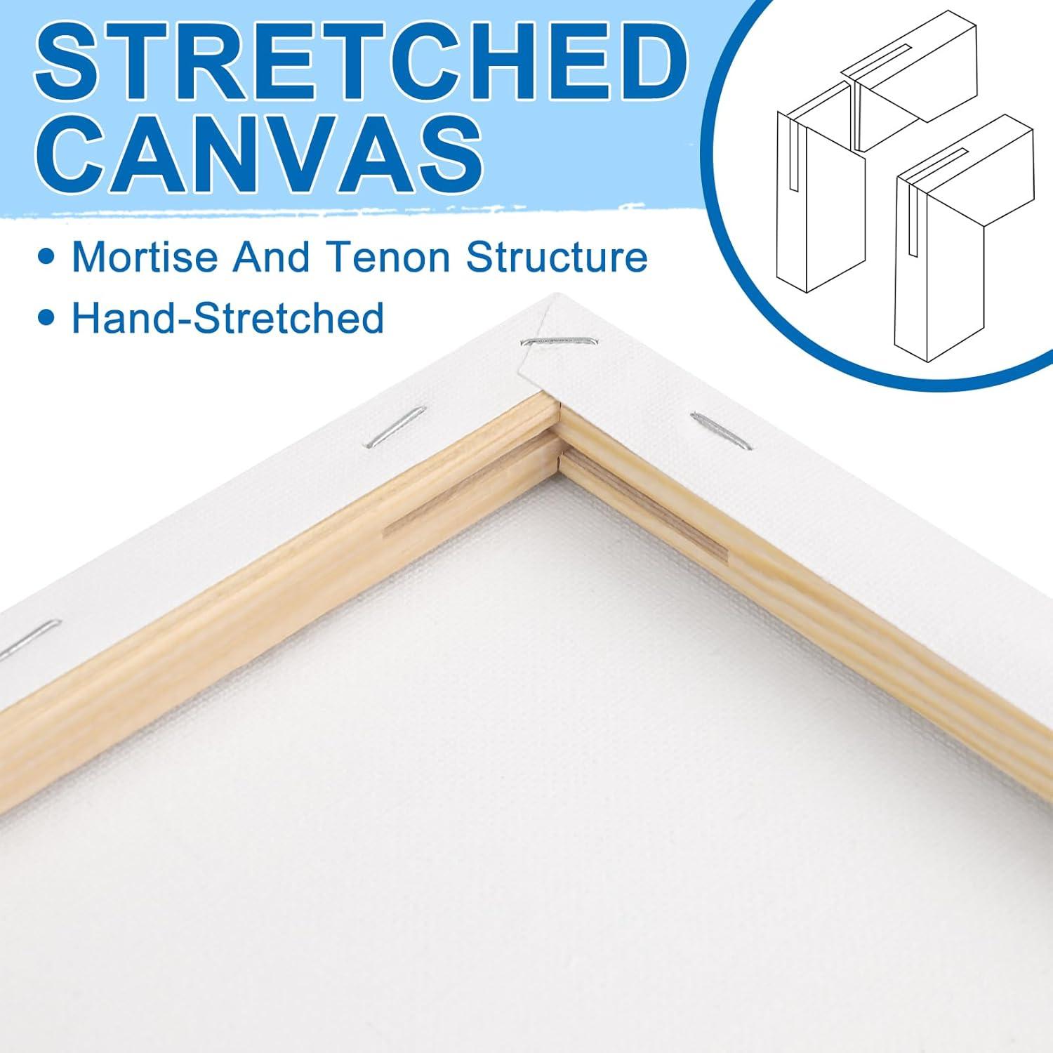 imageESRICH Stretched Canvas for Painting 16x20 Inch 12Pack Large Canvas for Painting Primed AcidFree Cotton Blank Canvases Art Paint Canvases for Oil PaintWatercolorAcrylic PaintGouache and Tempera9X12IN 8 Packs