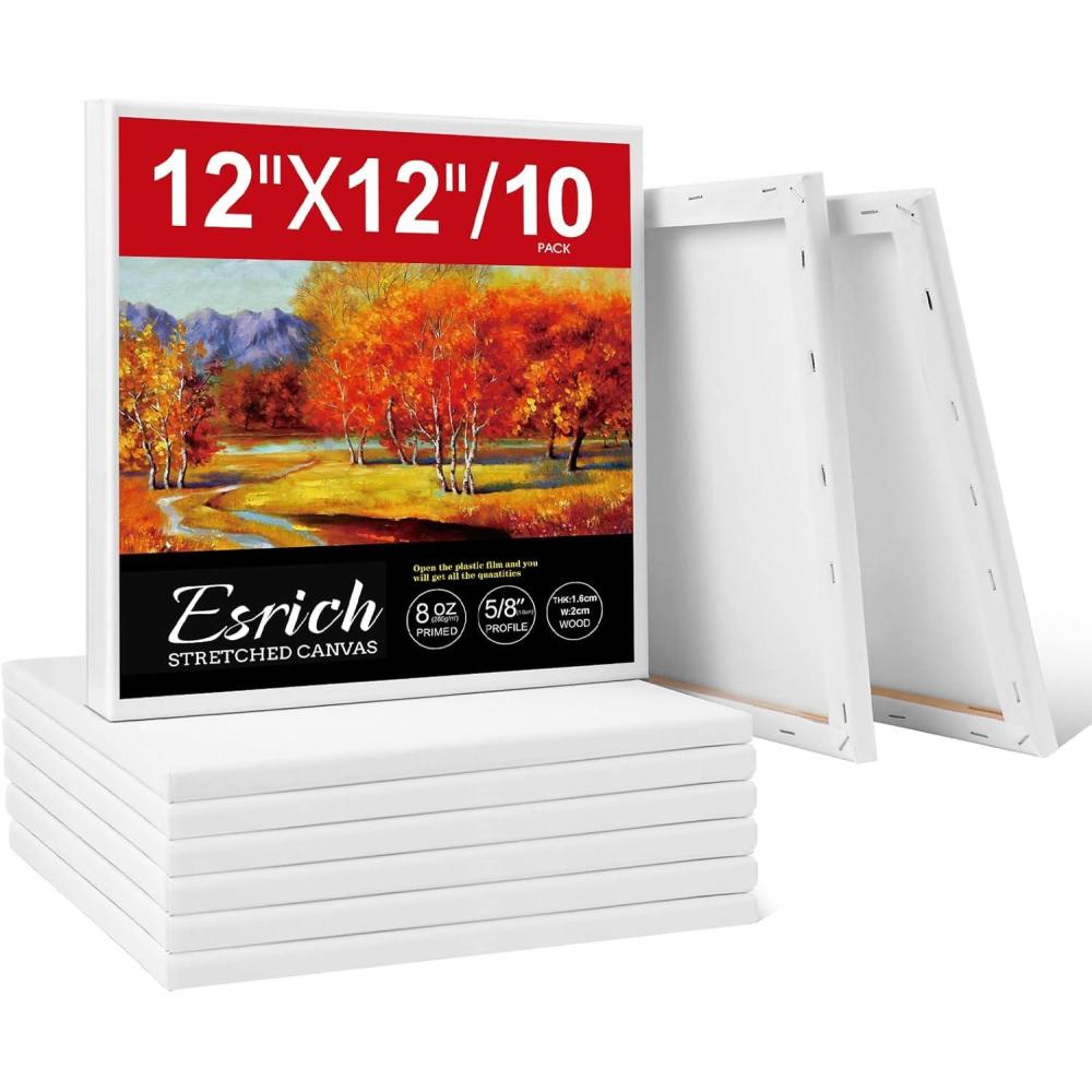 imageESRICH Stretched Canvas for Painting 16x20 Inch 12Pack Large Canvas for Painting Primed AcidFree Cotton Blank Canvases Art Paint Canvases for Oil PaintWatercolorAcrylic PaintGouache and Tempera12X12IN 10 Packs