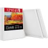 imageESRICH 12x16 Stretched Canvas for Painting 5 Pack Blank Canvases for Painting 58 in Profile Primed Cotton Painting Canvas for Oil ampamp Acrylic Paint