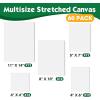 imageESRICH Stretched Canvas for Painting 60 Pack Multi Size11x14 8x10 5x7 4x6 4x4 Blank Primed Canvases for Oil ampamp Acrylic Painting Painting Canvas Supplies for Beginners Artists12 of Each