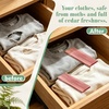 image:imageESRICH Cedar Blocks for Clothes Storage 24 Pack 100 Natura Cedars Wood for ClosetsCedars Planks with SandpaperCedar Chips for Closets and Drawers1 Count Pack of 24